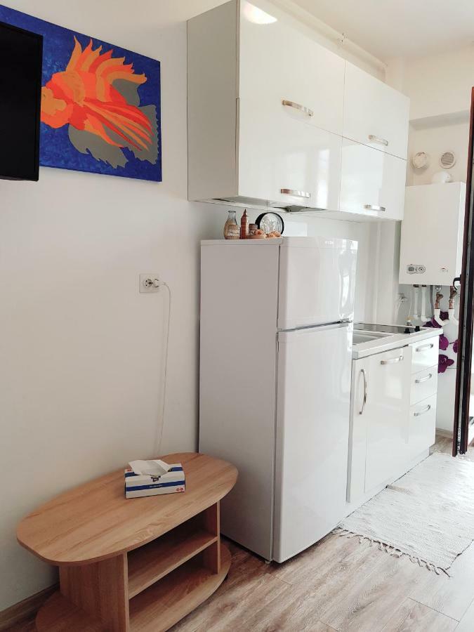 Sea View Studio Mamaia Extérieur photo